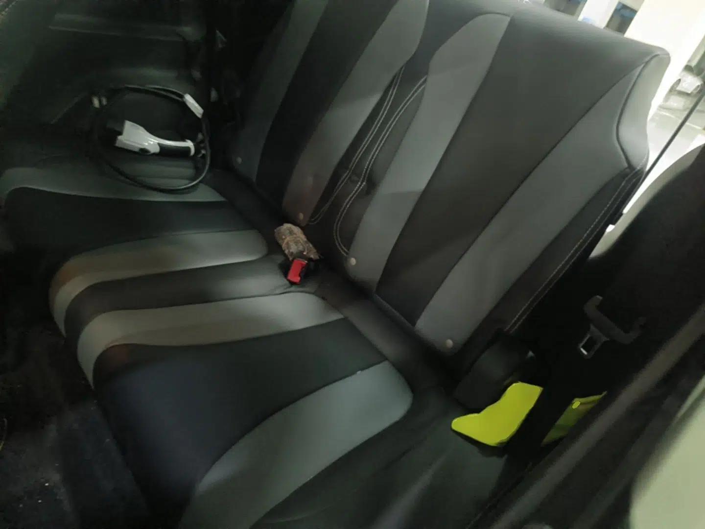 Roewe Clever 2022 311km QiQi BoBo Edition — миниатюра 20