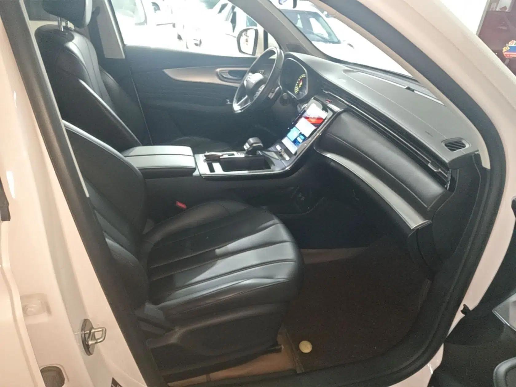Roewe RX5 MAX 2019 300TGI Automatic Smart Cabin Luxury Edition — миниатюра 23
