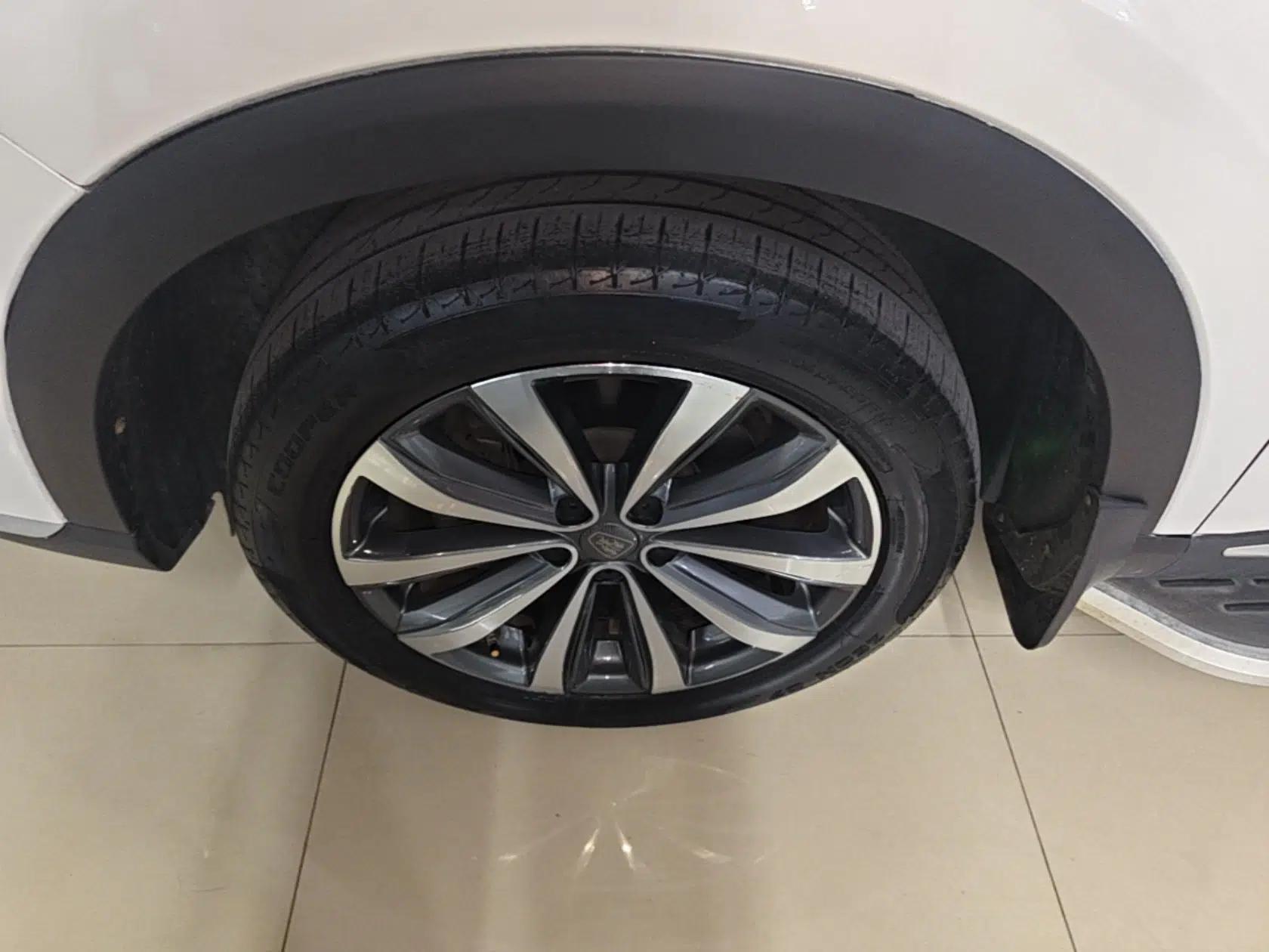 Roewe RX5 MAX 2019 300TGI Automatic Smart Cabin Luxury Edition — миниатюра 8