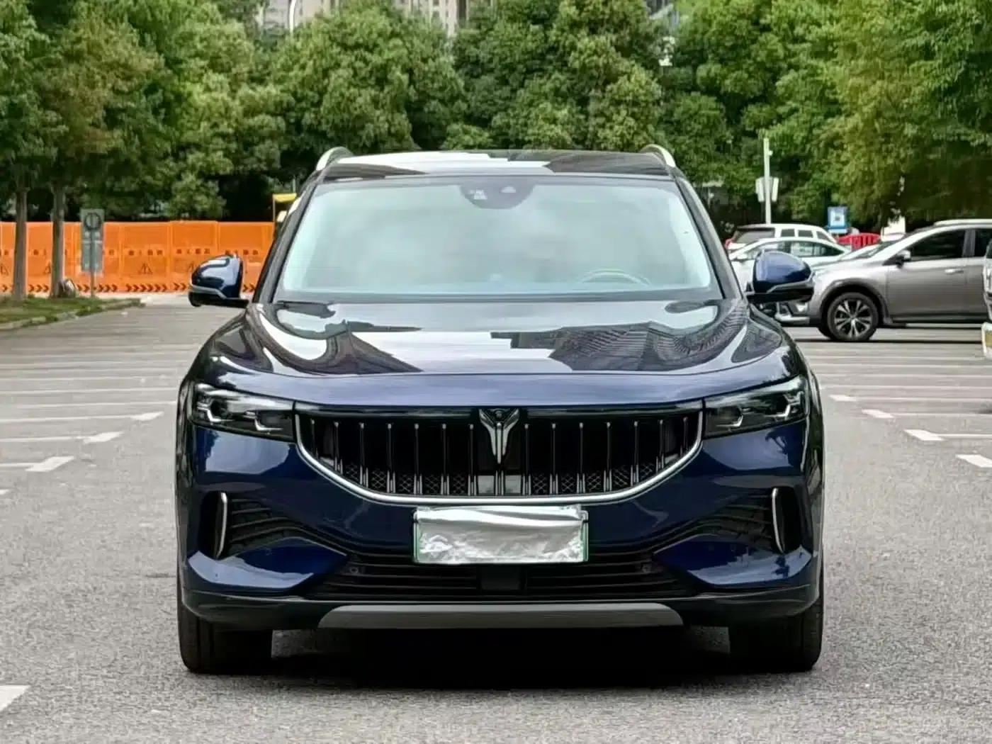 Voyah FREE 2021 Four-Wheel Drive Extended Range First Edition Exclusive Luxury Package — миниатюра 2