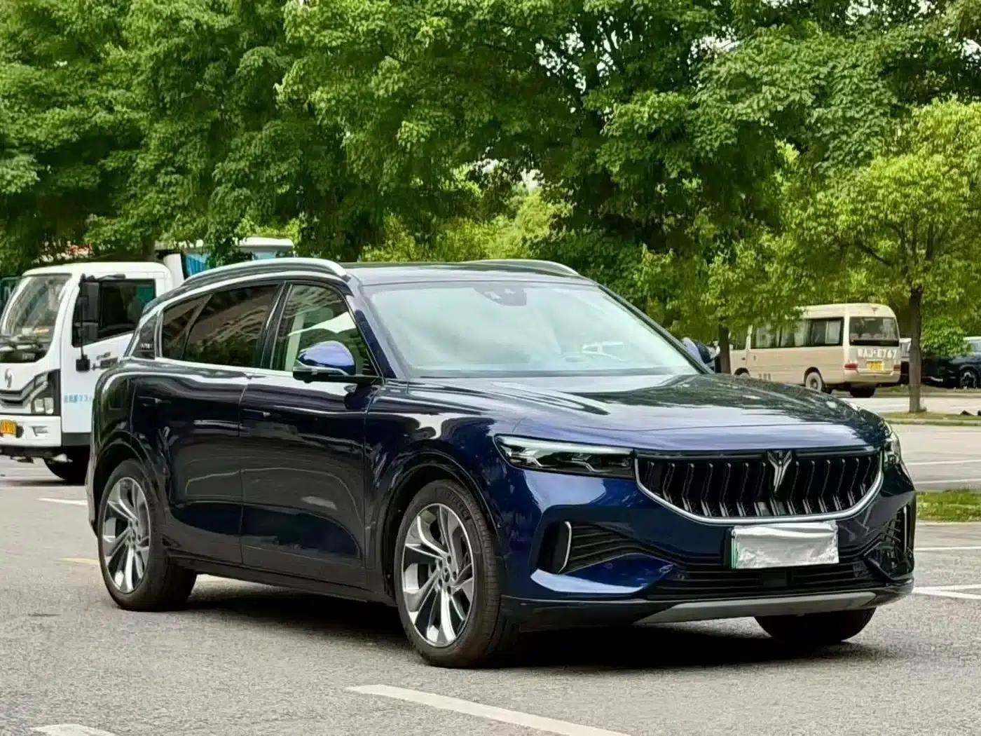 Voyah FREE 2021 Four-Wheel Drive Extended Range First Edition Exclusive Luxury Package — миниатюра 12