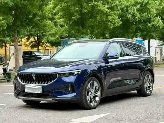 Voyah FREE 2021 Four-Wheel Drive Extended Range First Edition Exclusive Luxury Package