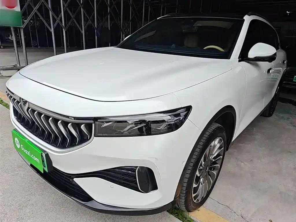 Voyah FREE 2021 AWD Standard Range Extender Exclusive Luxury Package — миниатюра 2