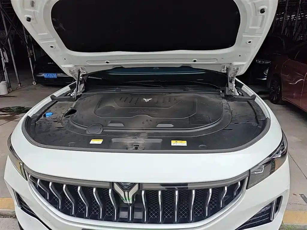 Voyah FREE 2021 AWD Standard Range Extender Exclusive Luxury Package — миниатюра 20
