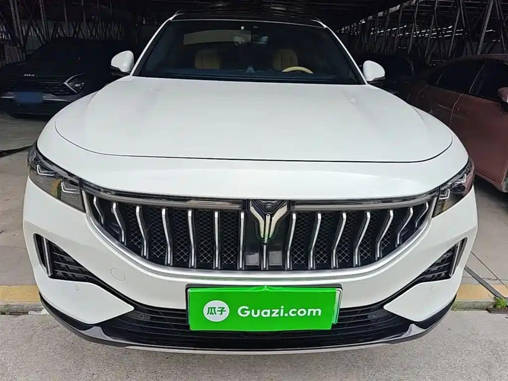 Voyah FREE 2021 AWD Standard Range Extender Exclusive Luxury Package — миниатюра 3