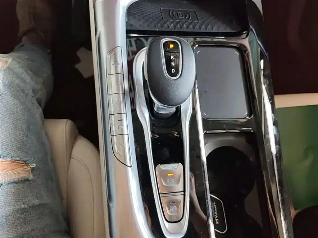 Voyah FREE 2021 AWD Standard Range Extender Exclusive Luxury Package — миниатюра 14
