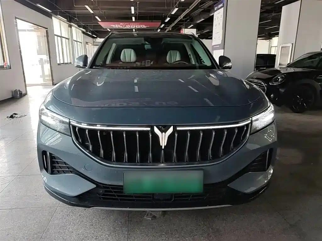 Voyah FREE 2021 AWD Standard Range Extender Exclusive Luxury Package — миниатюра 3