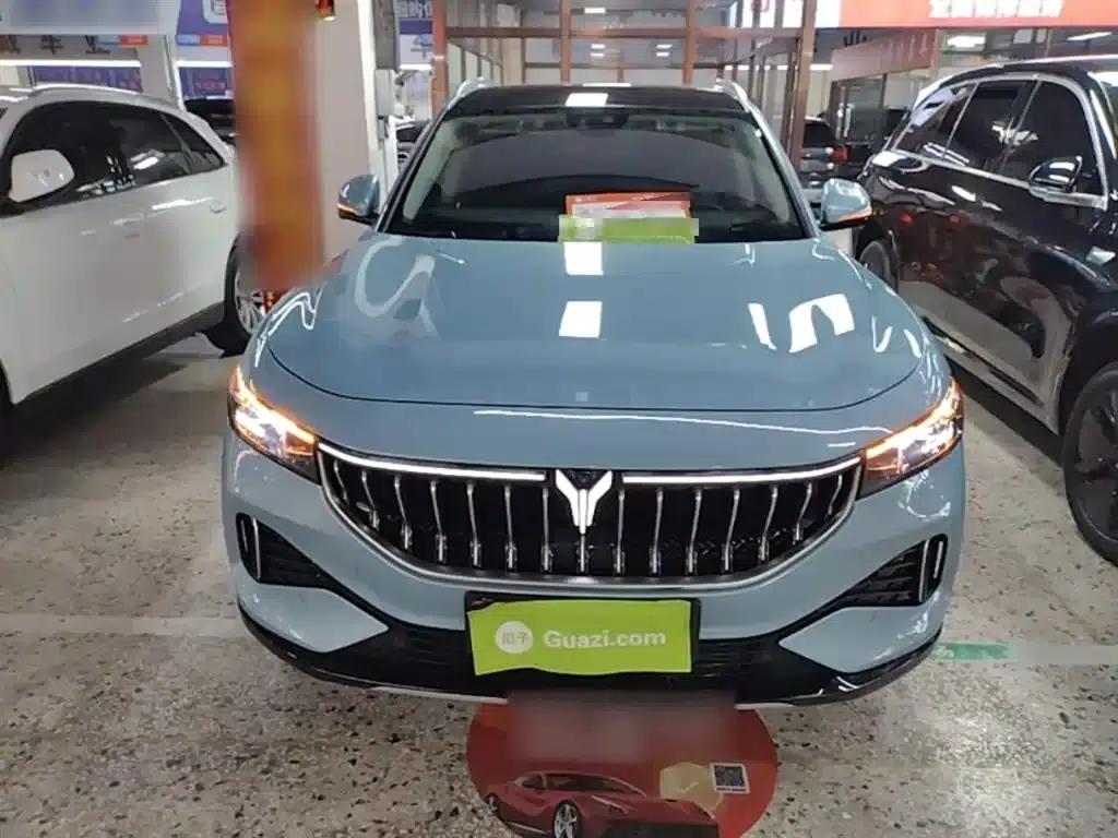 Voyah FREE 2021 Four-Wheel Drive Extended Range First Edition Exclusive Luxury Package — миниатюра 3