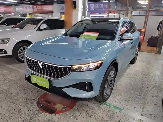 Voyah FREE 2021 Four-Wheel Drive Extended Range First Edition Exclusive Luxury Package