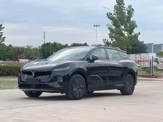 Voyah 2024 Global Edition (4WD)