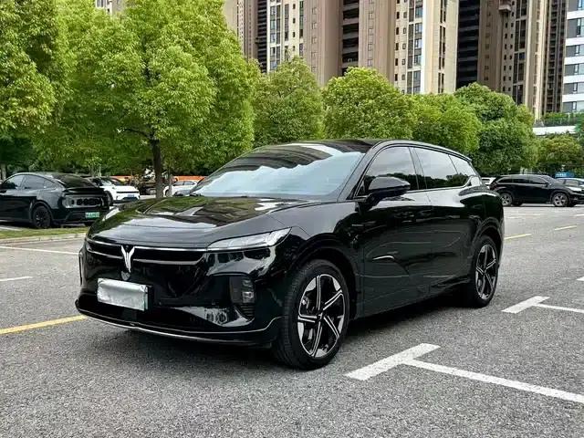 Voyah 2024 Long Range Supercharging Edition