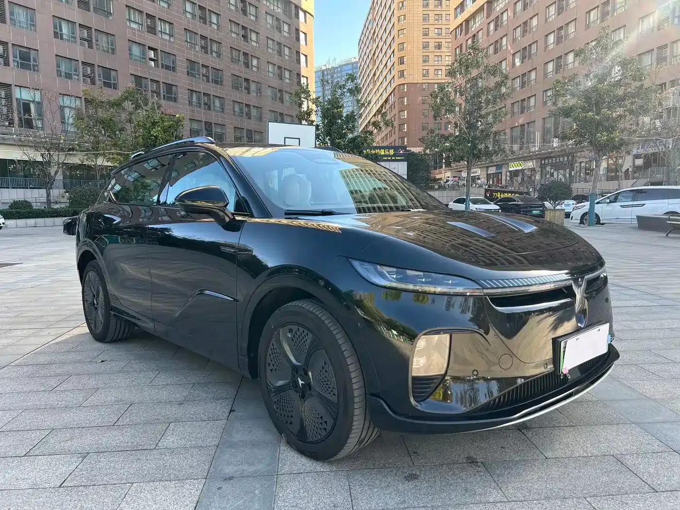 Voyah 2024 Long Range Supercharging Edition — миниатюра 4