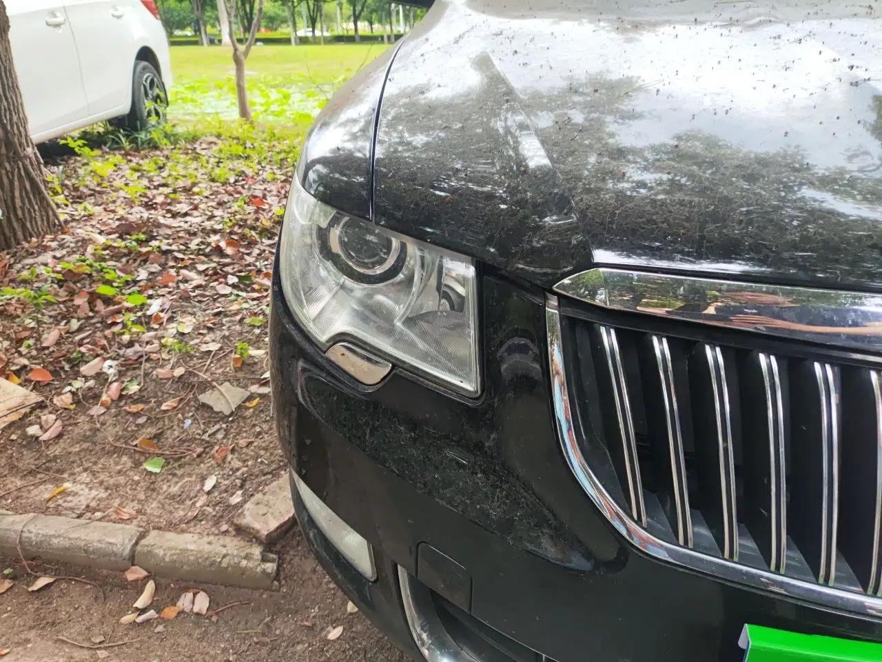 Skoda Superb 2009 2.0 TSI Automatic Luxury Edition — миниатюра 7