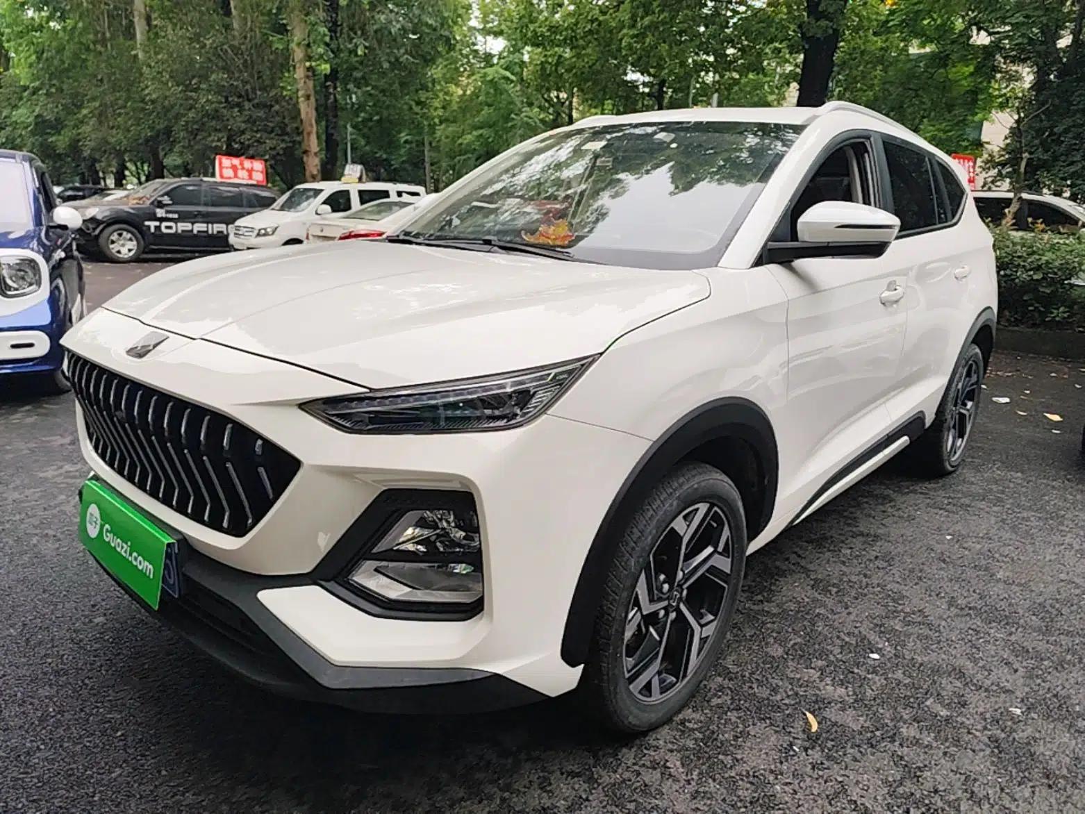 SOL X8 2021 300T DCT Leading Smart Connectivity Version 6 Seats — миниатюра 1