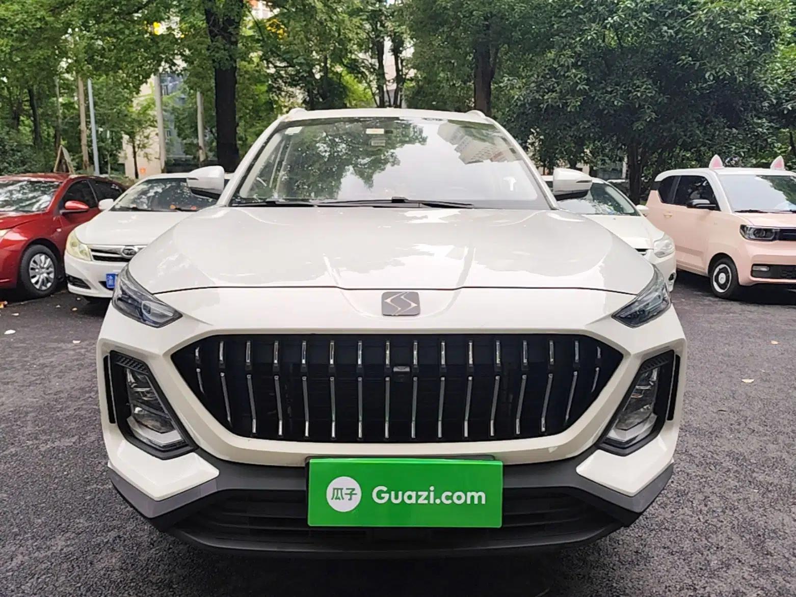 SOL X8 2021 300T DCT Leading Smart Connectivity Version 6 Seats — миниатюра 2