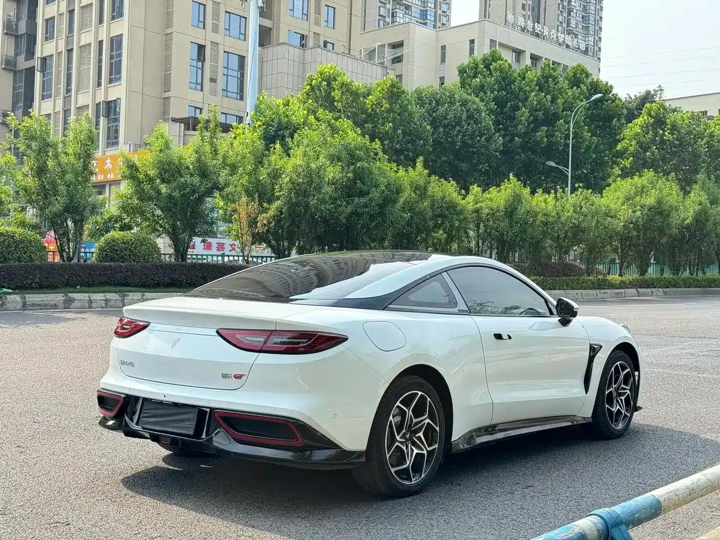 Nezha GT 2023 Model 560 — миниатюра 4