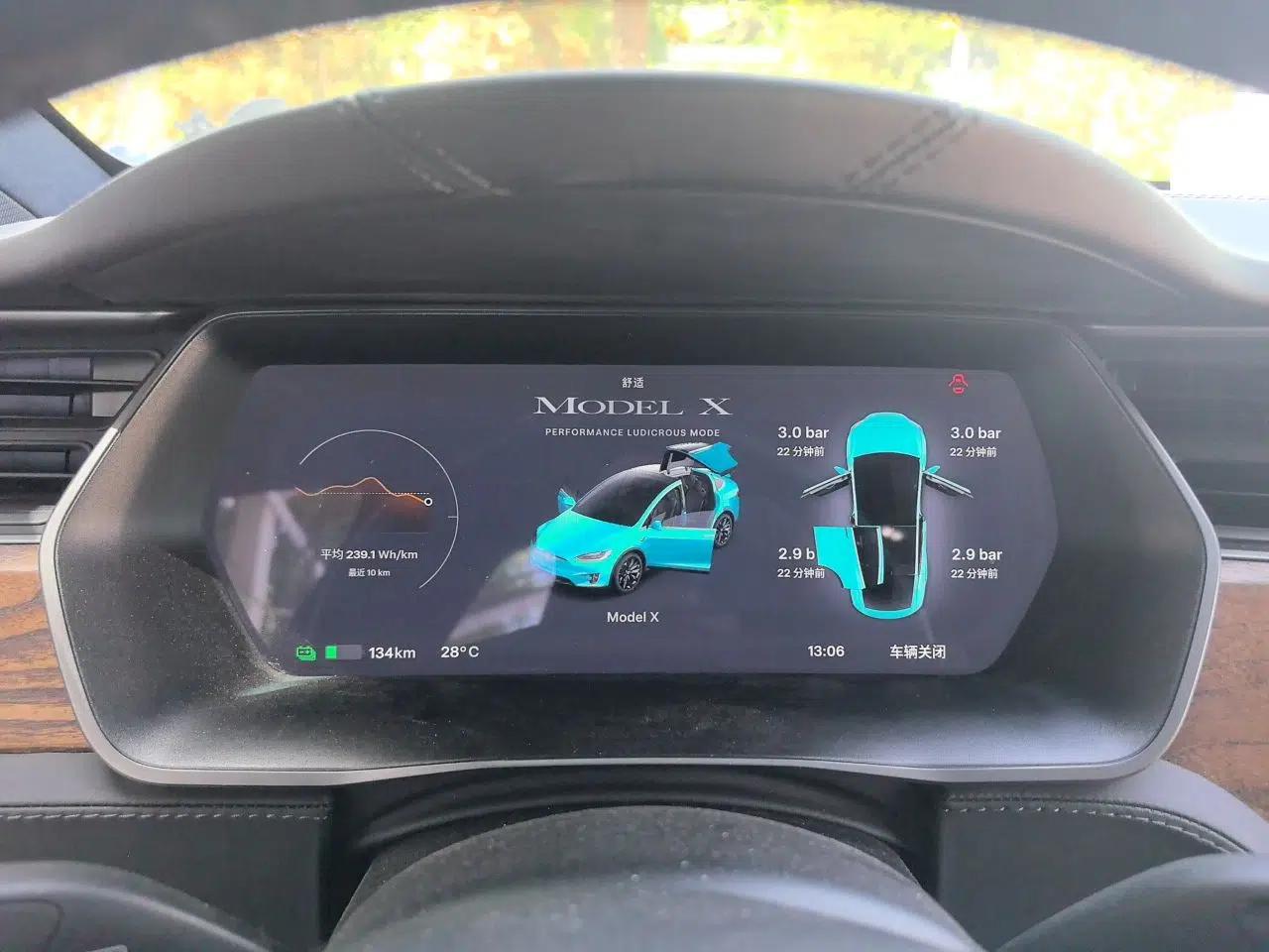 Tesla Model X 2019 Performance High-Performance Edition — миниатюра 12
