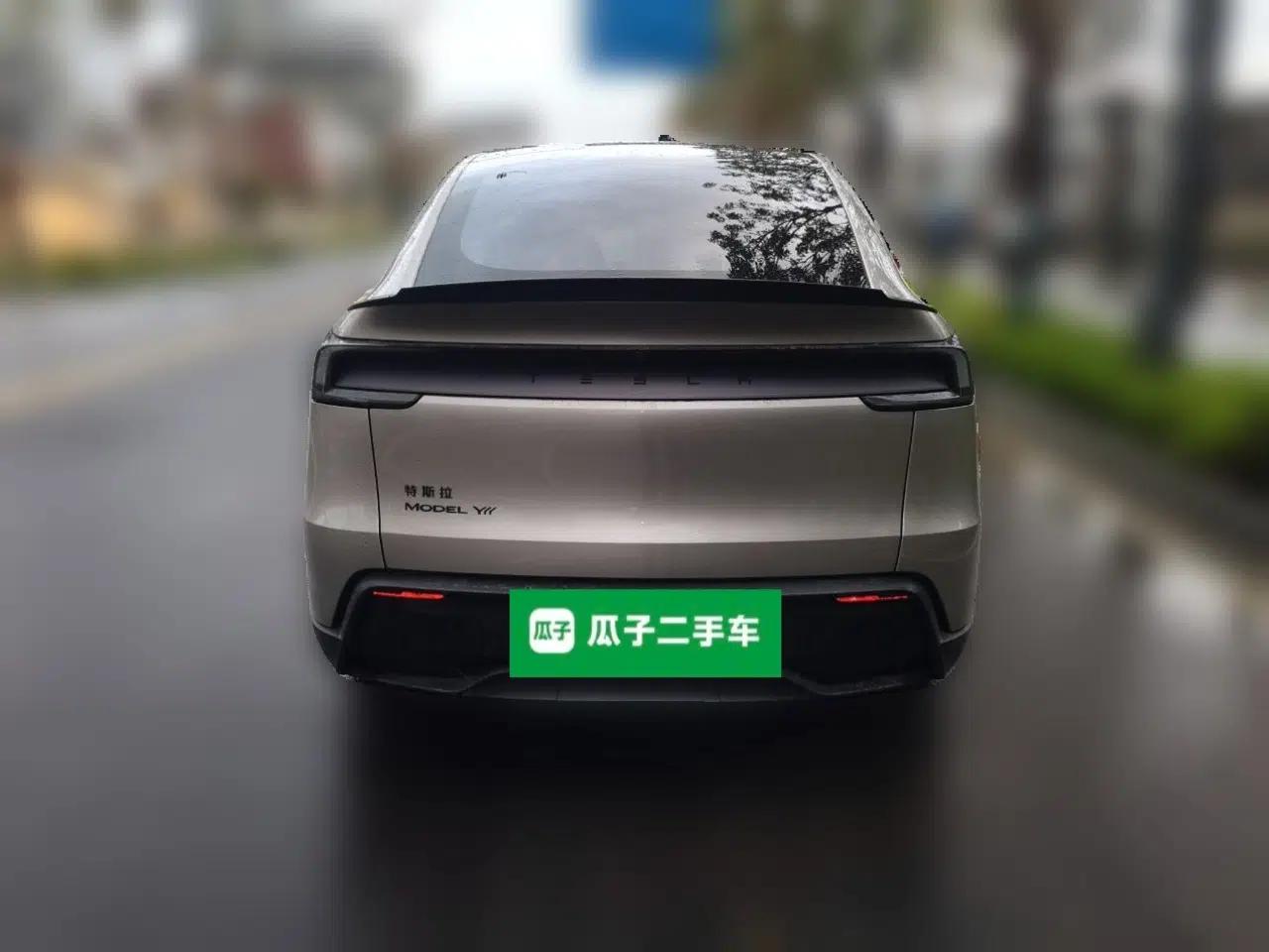 Tesla Model Y L 2025 Model Long-Range All-Wheel-Drive Version — миниатюра 5