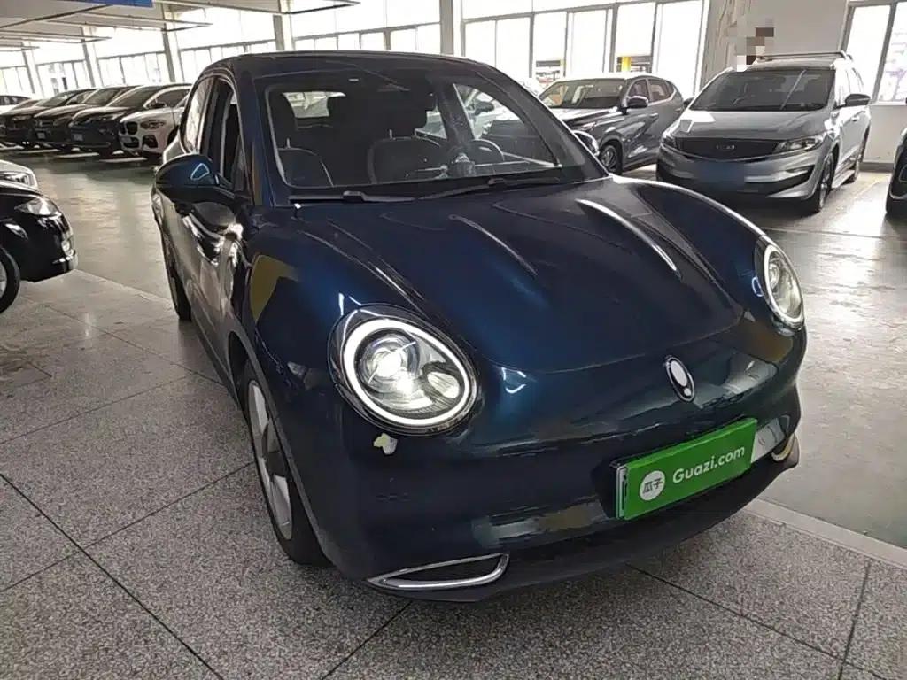 ORA Good Cat 2021 Model, 400km Standard Range, Venus Edition, Lithium Iron Phosphate — миниатюра 4