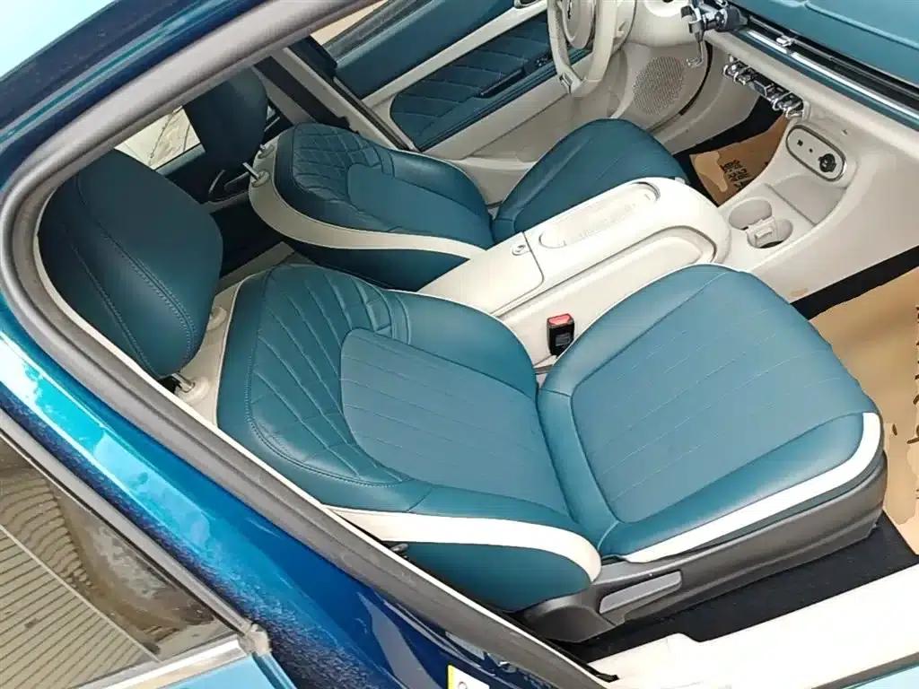 ORA Good Cat 2023 Model, 401km Standard Range, Luxury Edition, Lithium Iron Phosphate — миниатюра 25