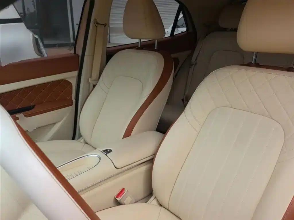 ORA Good Cat 2023 Model, 401km Standard Range, Luxury Edition, Lithium Iron Phosphate — миниатюра 15