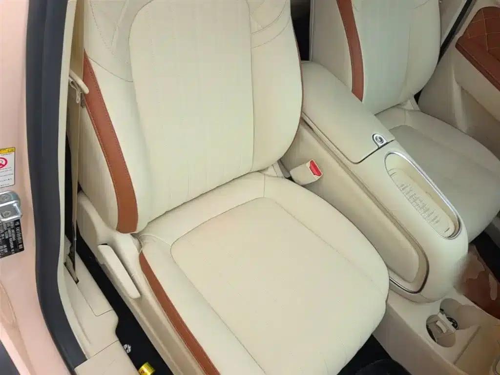ORA Good Cat 2023 Model, 401km Standard Range, Luxury Edition, Lithium Iron Phosphate — миниатюра 25