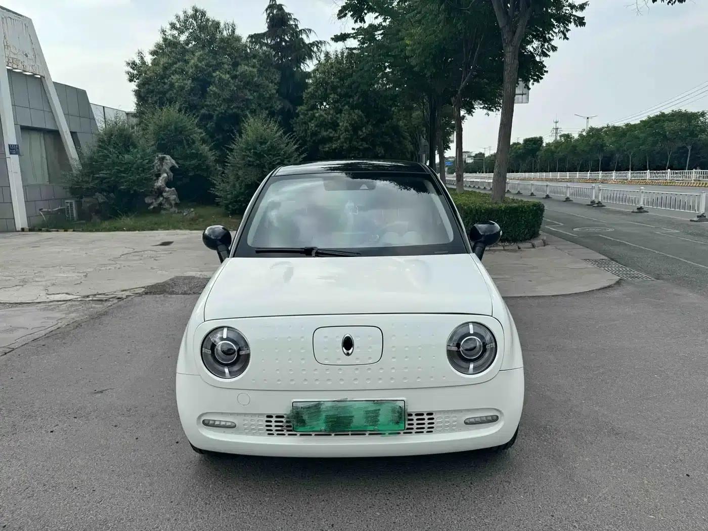 ORA Black Cat 2021 Model 351km Luxury — миниатюра 8