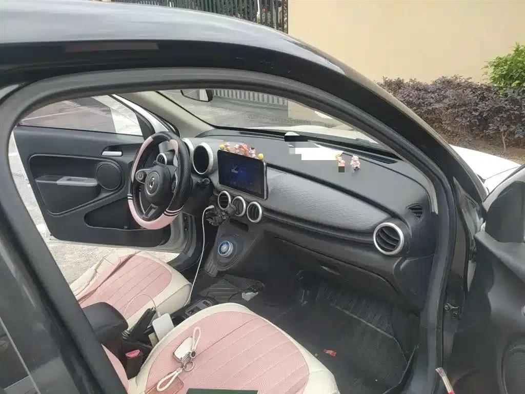 ORA Black Cat 2019 Model 351km Fun Edition — миниатюра 19