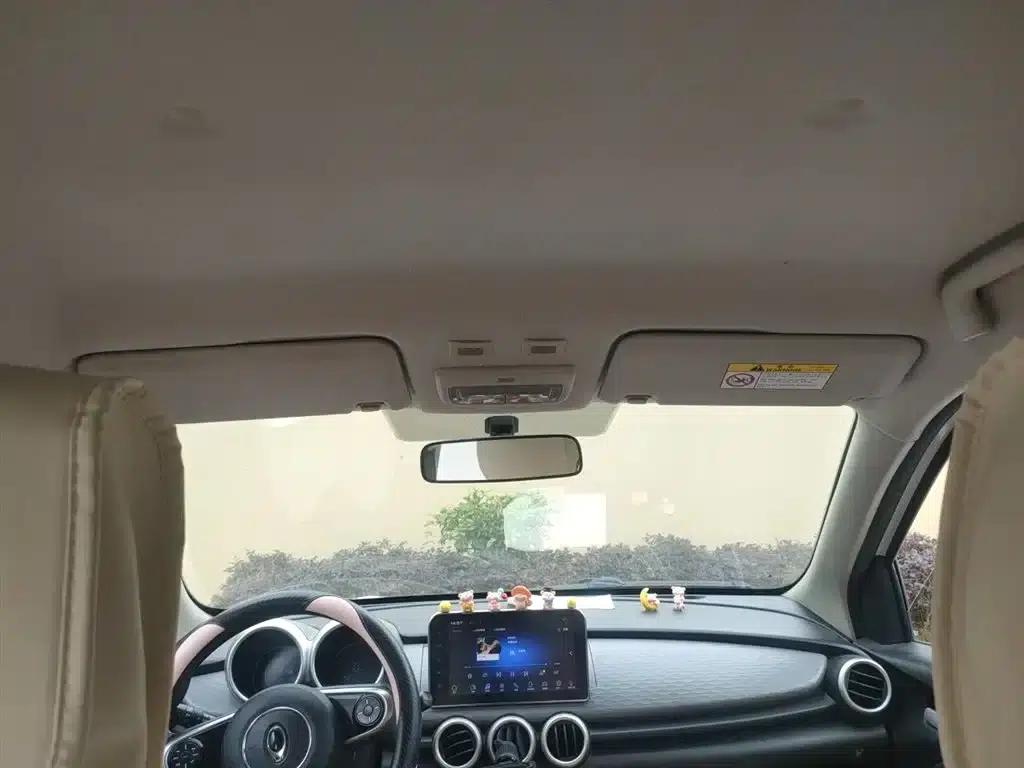 ORA Black Cat 2019 Model 351km Fun Edition — миниатюра 9