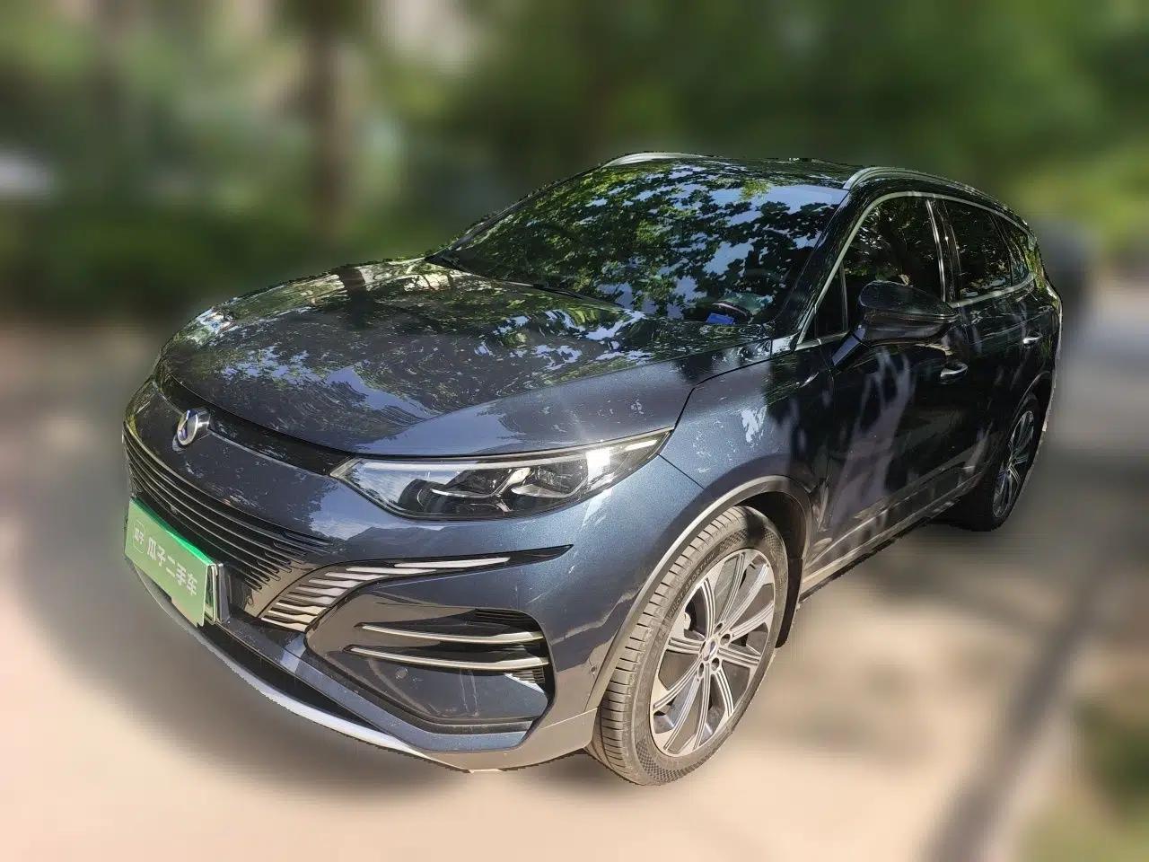 Denza N8 2023 Four-Wheel Drive Ultra-Hybrid Flagship Six-Seater Version — миниатюра 1