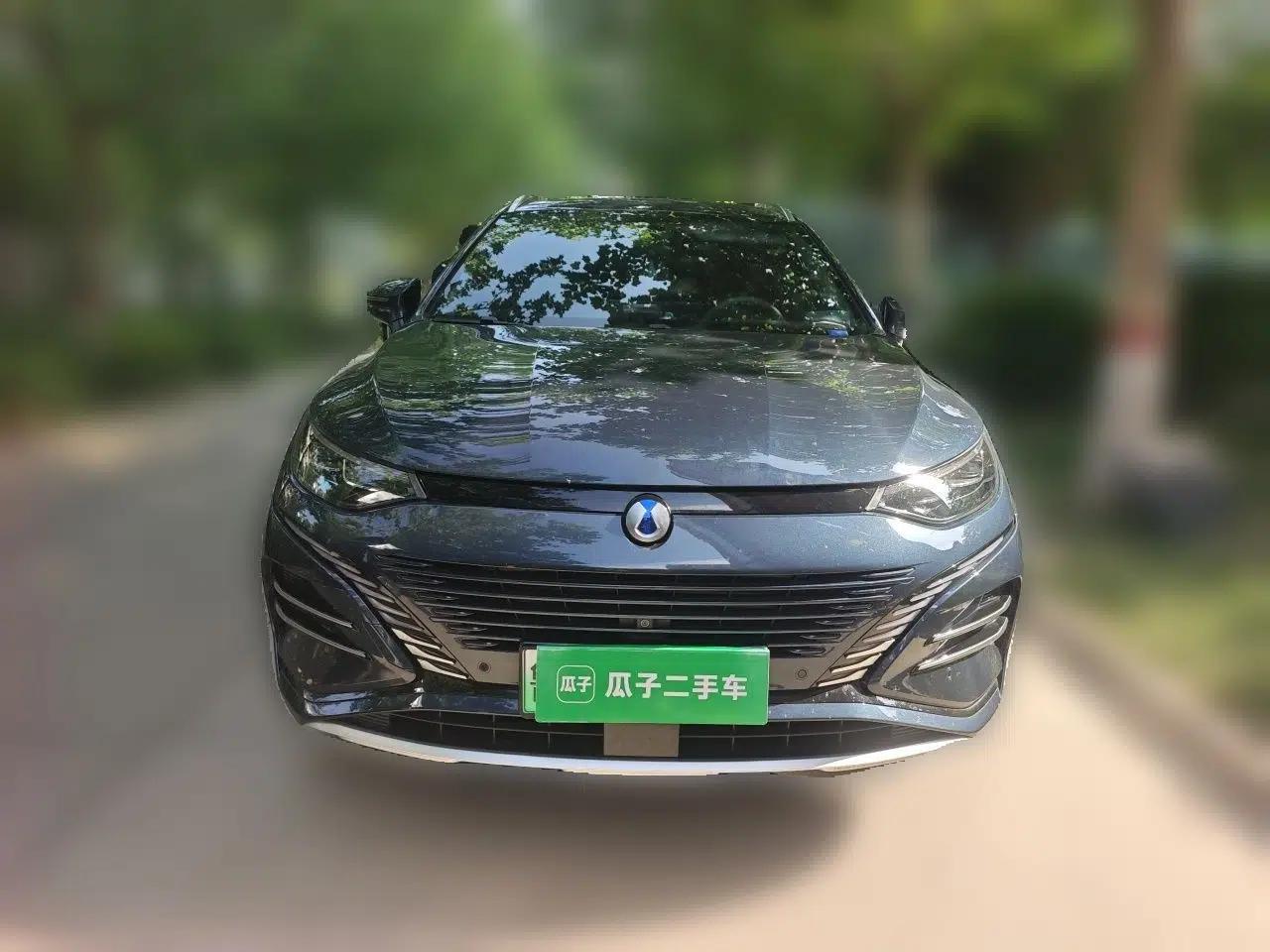 Denza N8 2023 Four-Wheel Drive Ultra-Hybrid Flagship Six-Seater Version — миниатюра 2