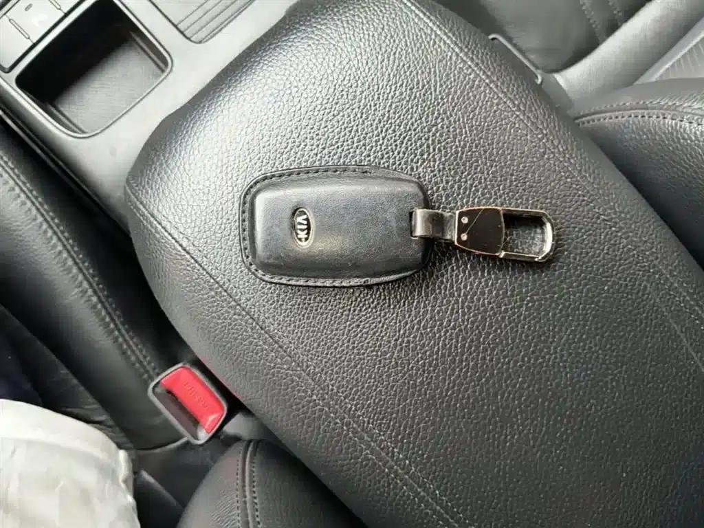 2013 Sorento 2.4L 7-seater Petrol Luxury Edition — миниатюра 9