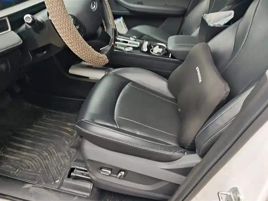 Chery Tiggo 8 PLUS 2022 290TGDI DCT Luxury Edition — миниатюра 9