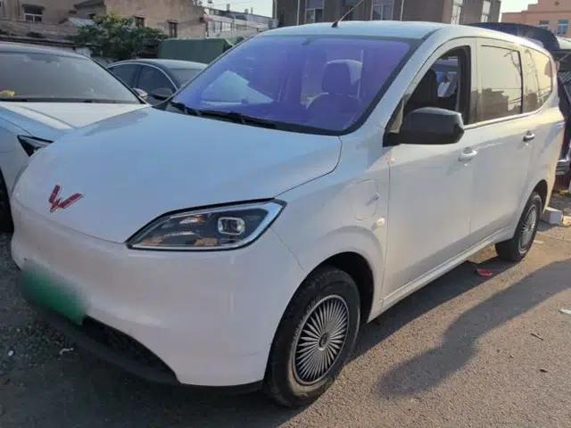 Wuling Hongguang New Energy 2024 All-Electric Model 300KM Standard Version