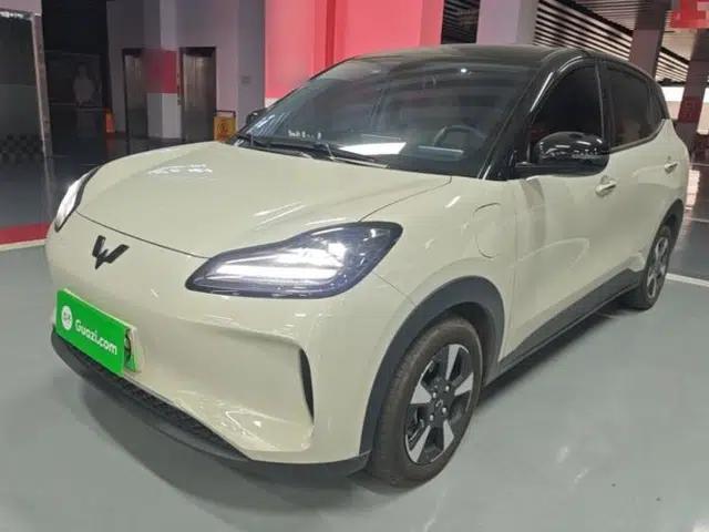 Wuling Bingo PLUS 2024 330 km Range Five-Seater Version