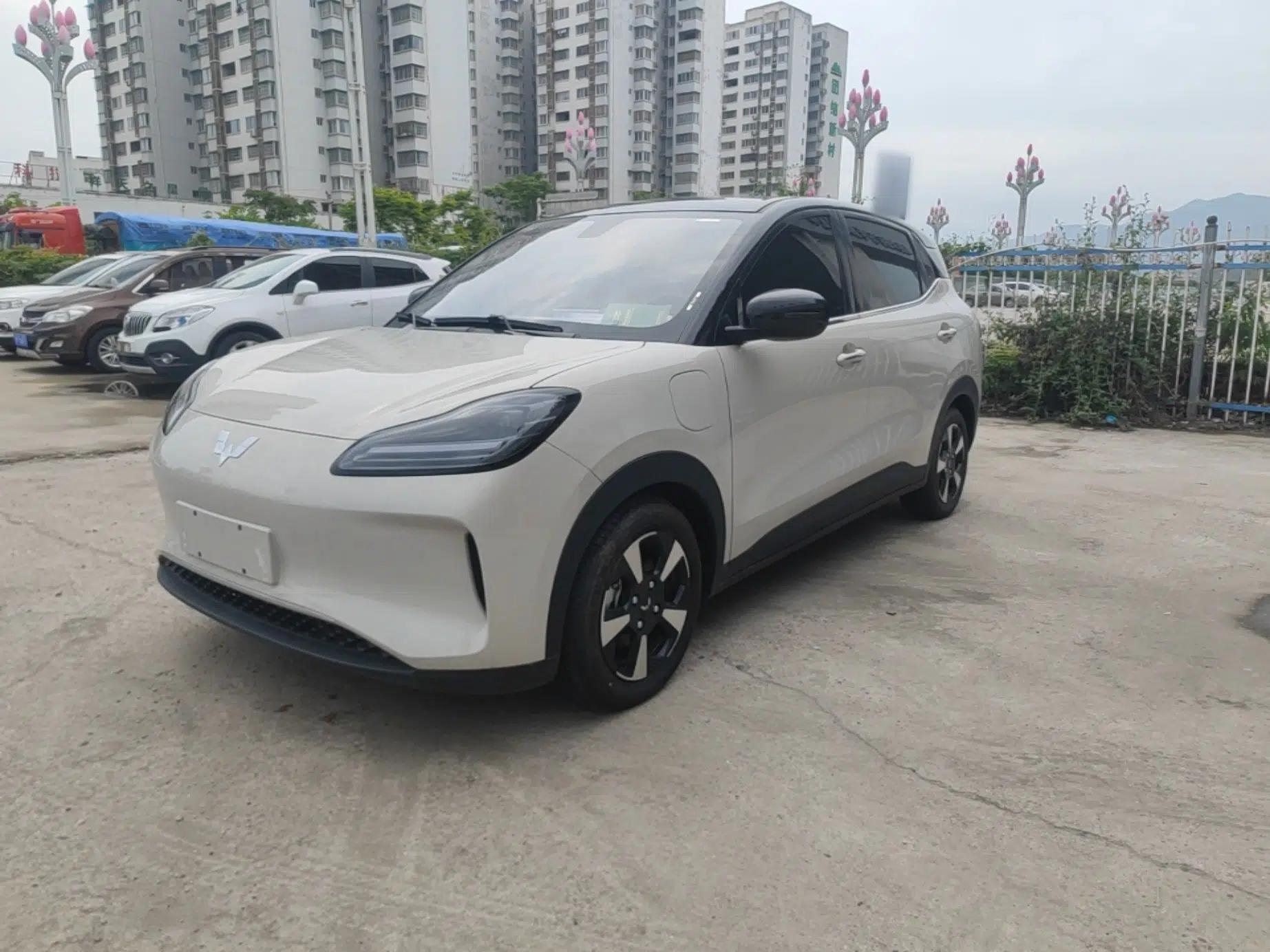 Wuling Bingo PLUS 2024 510 km Range 5-Seater Version — миниатюра 1
