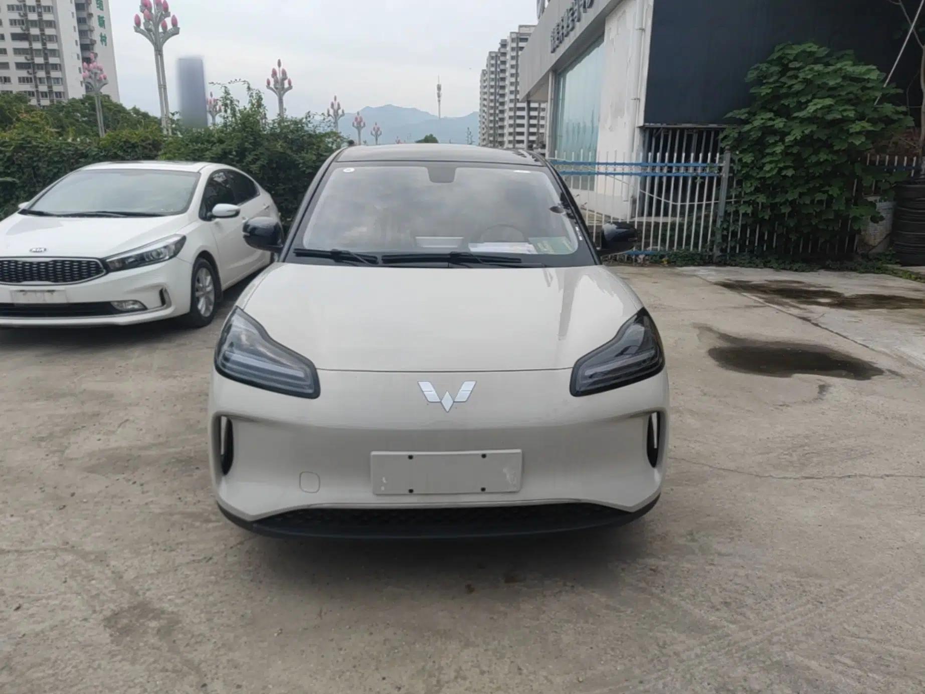 Wuling Bingo PLUS 2024 510 km Range 5-Seater Version — миниатюра 2