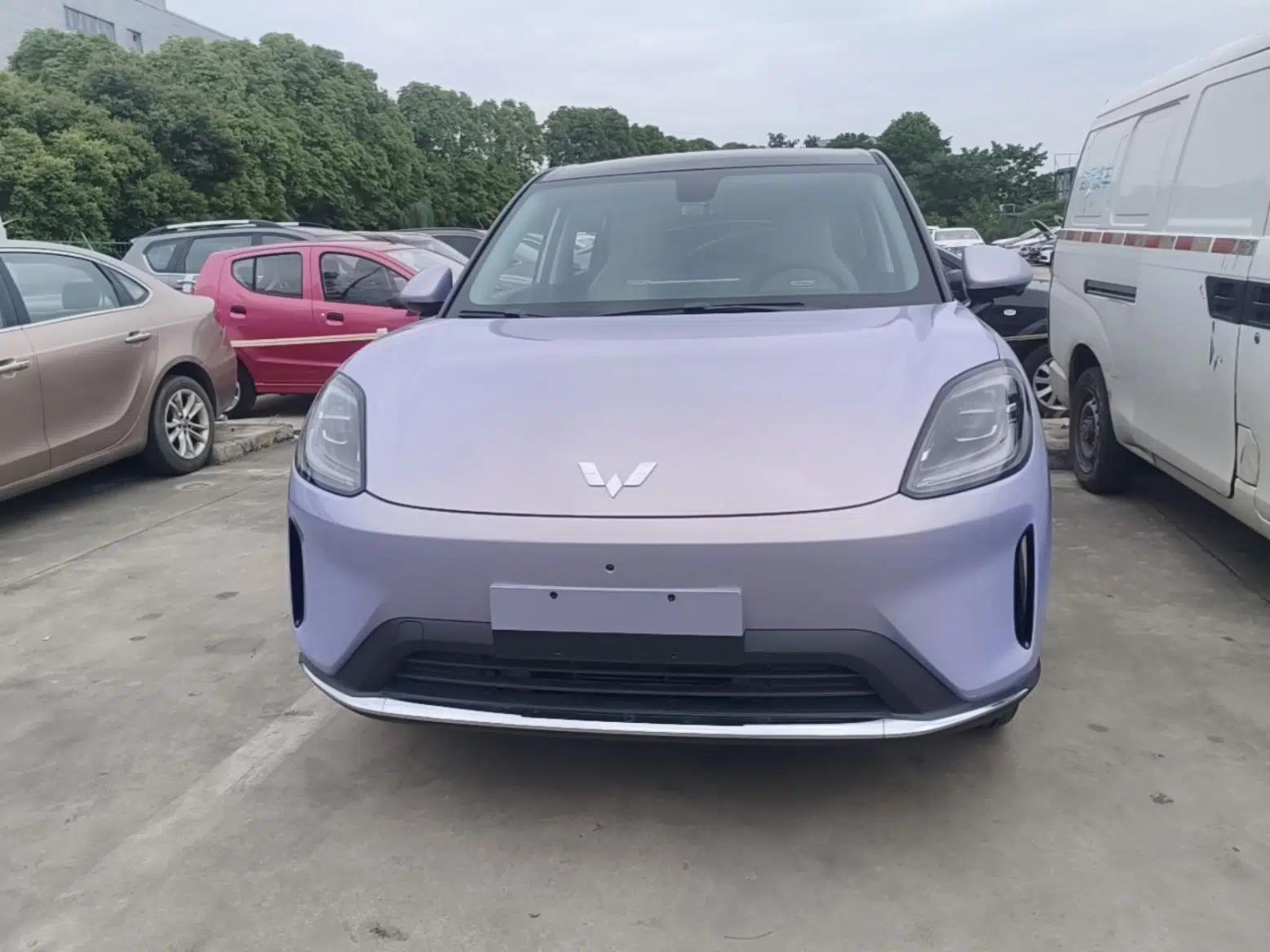 Wuling Bingo S 2025 Model 325km Flagship Edition — миниатюра 2