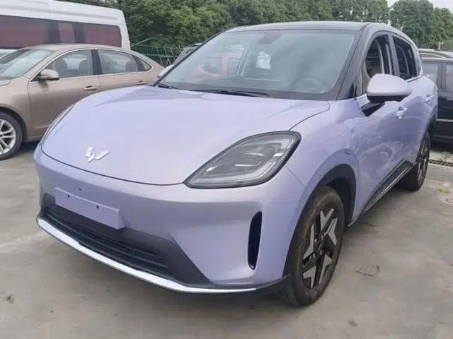 Wuling Bingo S 2025 Model 325km Flagship Edition