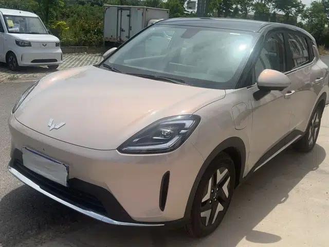 Wuling Bingo S 2025 Model 430km Flagship Edition