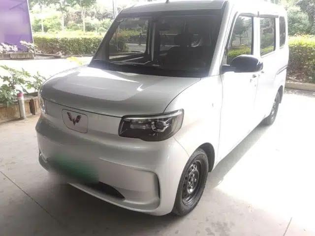 Wuling Zhiguang New Energy 2025 Comfort Model