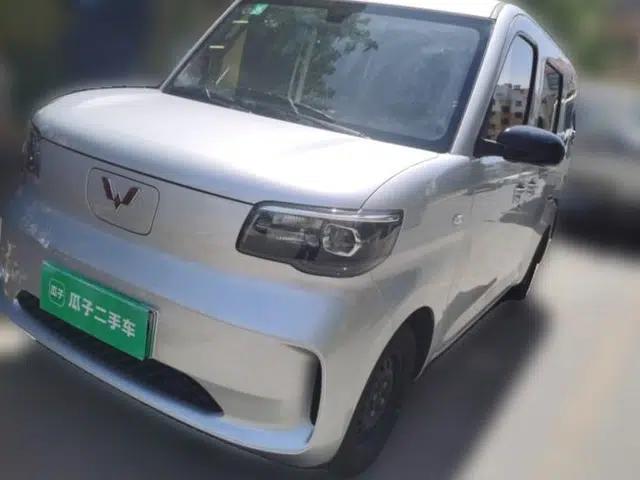 Wuling Zhiguang New Energy 2025 Standard Model