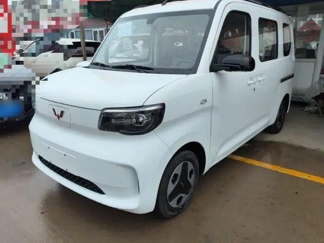 Wuling Zhiguang New Energy 2025 Model 305km Ambitious Edition