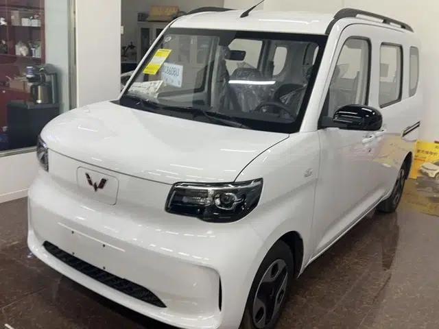 Wuling Zhiguang New Energy 2025 Model 305km Ambitious Edition