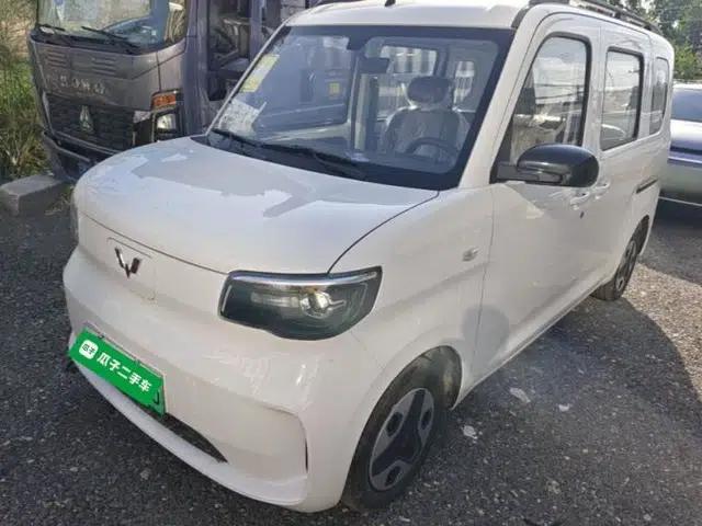 Wuling Zhiguang New Energy 2025 Model 305km Ambitious Edition