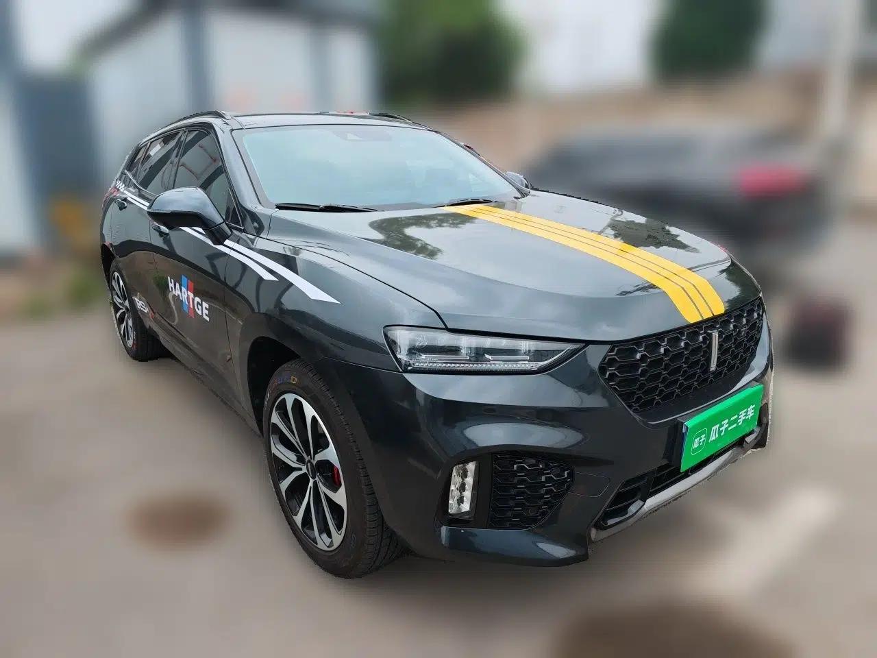 Wey VV7 2019 Upgraded Model 2.0T Ultra-Luxury Version China VI Standard — миниатюра 3