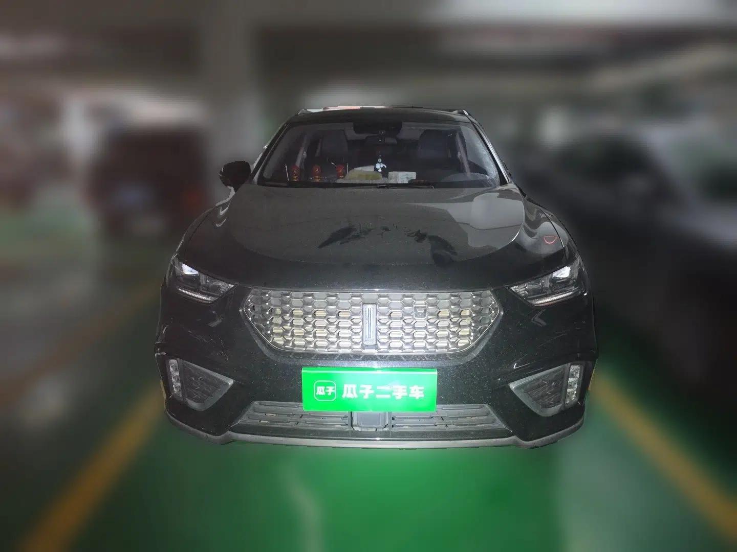 Wey VV5 2021 1.5T Two-Wheel Drive Smart Pioneer — миниатюра 2
