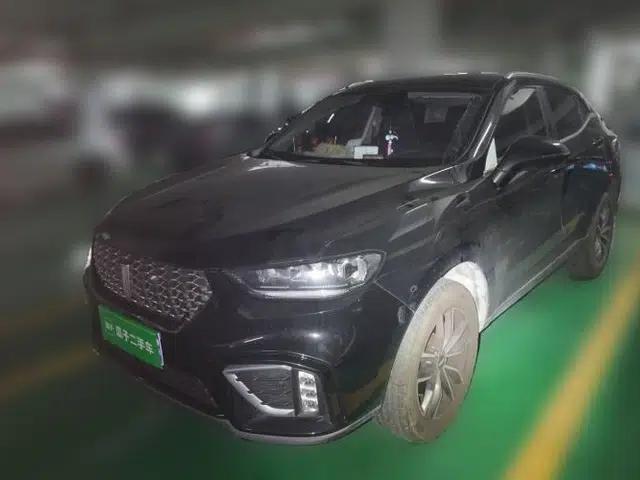 Wey VV5 2021 1.5T Two-Wheel Drive Smart Pioneer