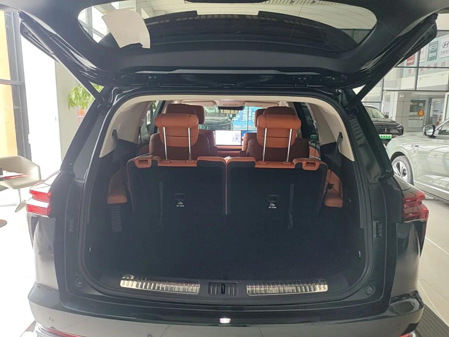 Wey Lanshan 2025 Four-Wheel Drive Max — миниатюра 22