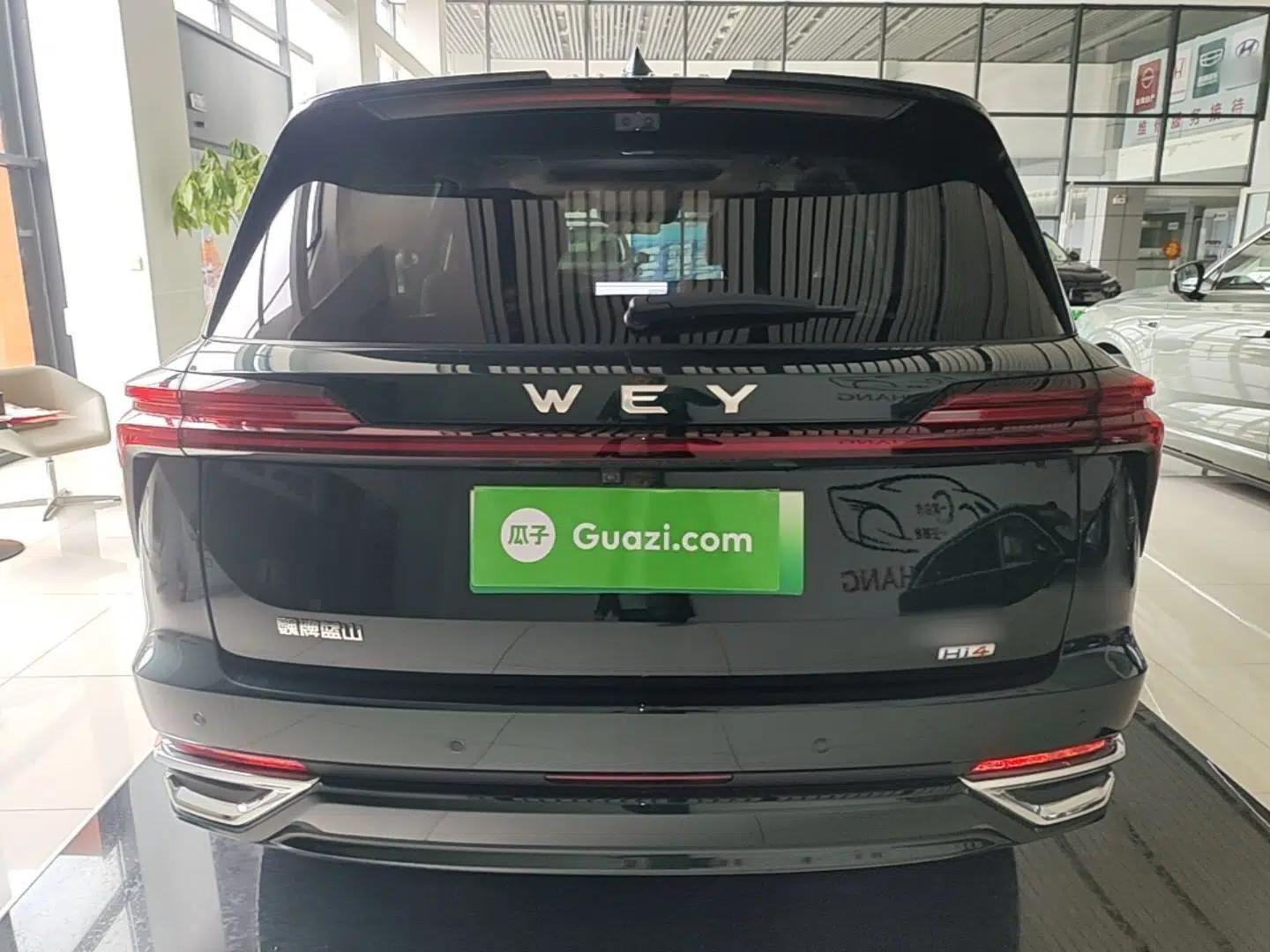 Wey Lanshan 2025 Four-Wheel Drive Max — миниатюра 5